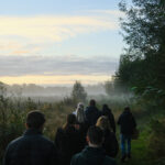 netwerken in de natuur